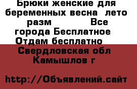 Брюки женские для беременных весна, лето (разм.50 XL). - Все города Бесплатное » Отдам бесплатно   . Свердловская обл.,Камышлов г.